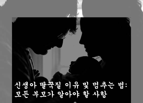  신생아 딸꾹질 이유 및 멈추는 법: 모든 부모가 알아야 할 사항