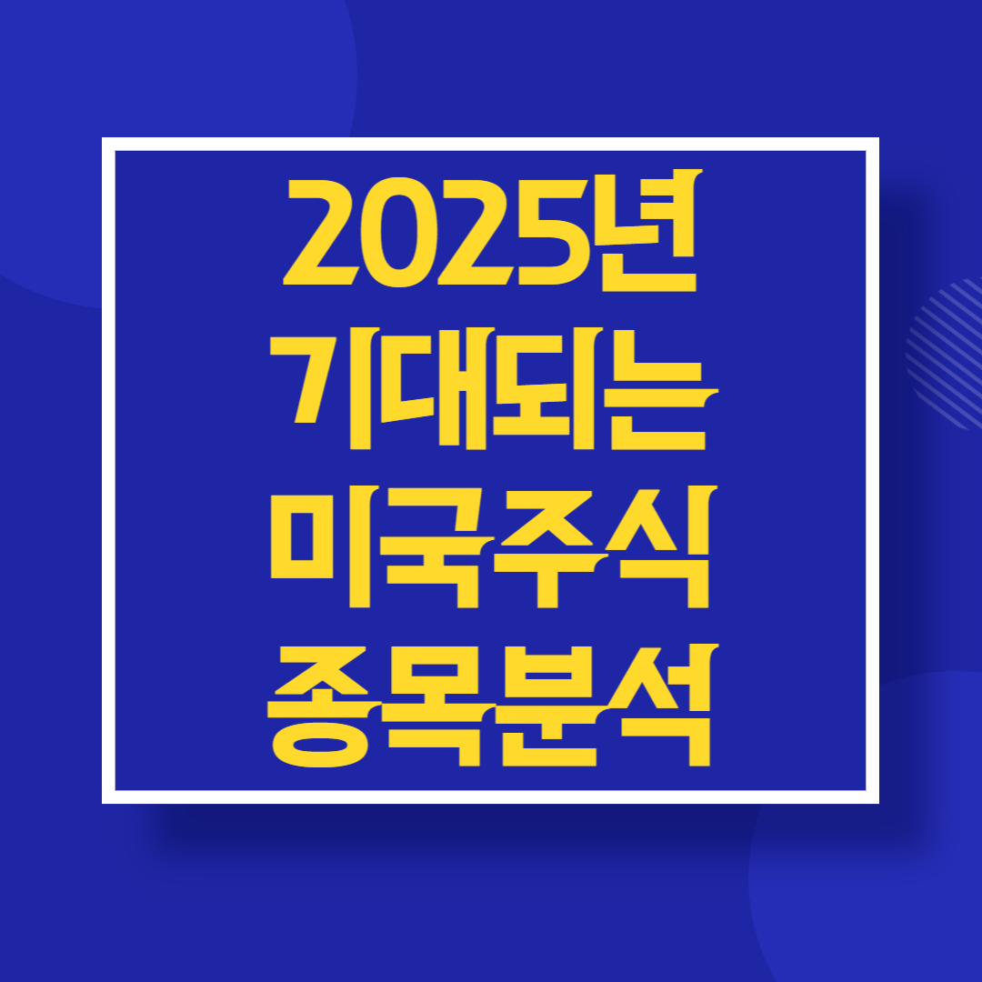 2025년 기대 대는 미국 주식종목