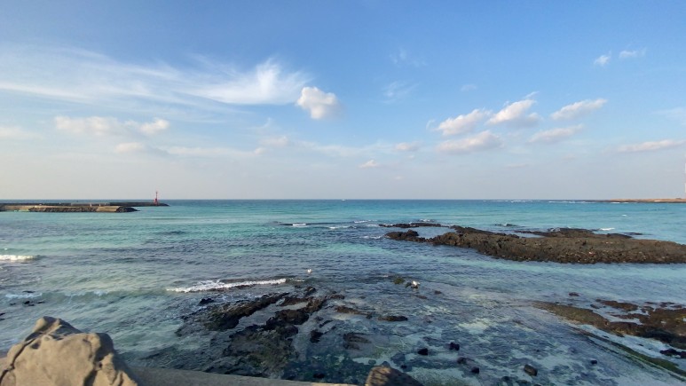 제주도 2박3일 #제주도여행 #겨울제주도 #친구랑제주도 7