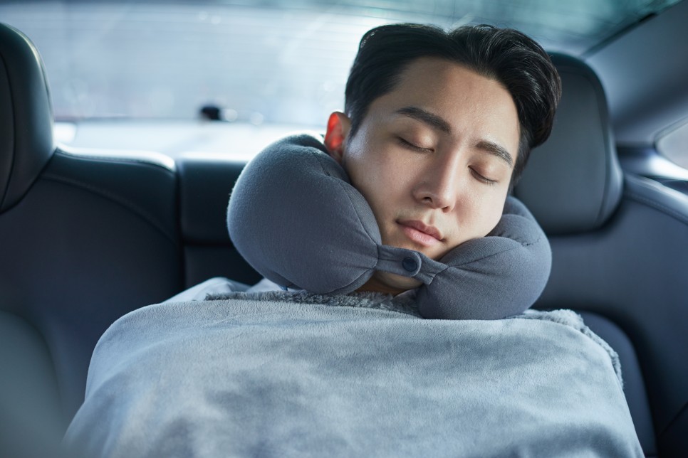 흰개 행운의 상징일까? 3