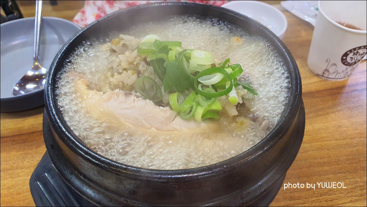  동인천 삼계탕 맛집 꾸지뽕 삼계탕에서 몸보신하기
