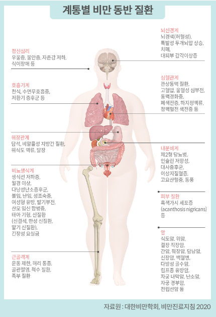 계통별 비만 동반 질환