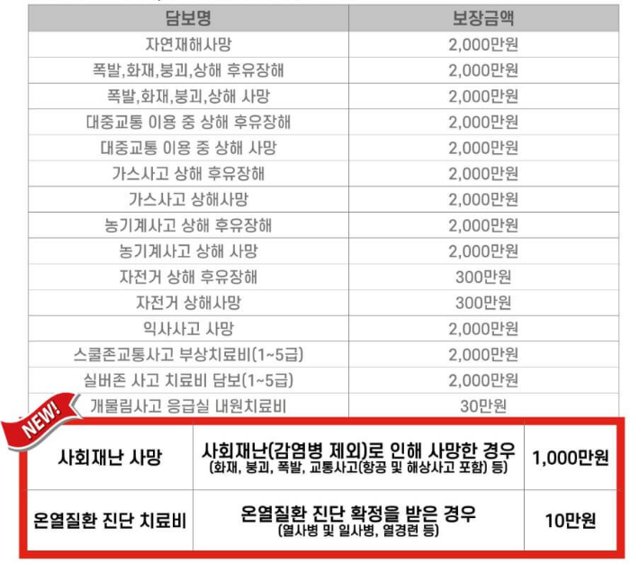 보장내용