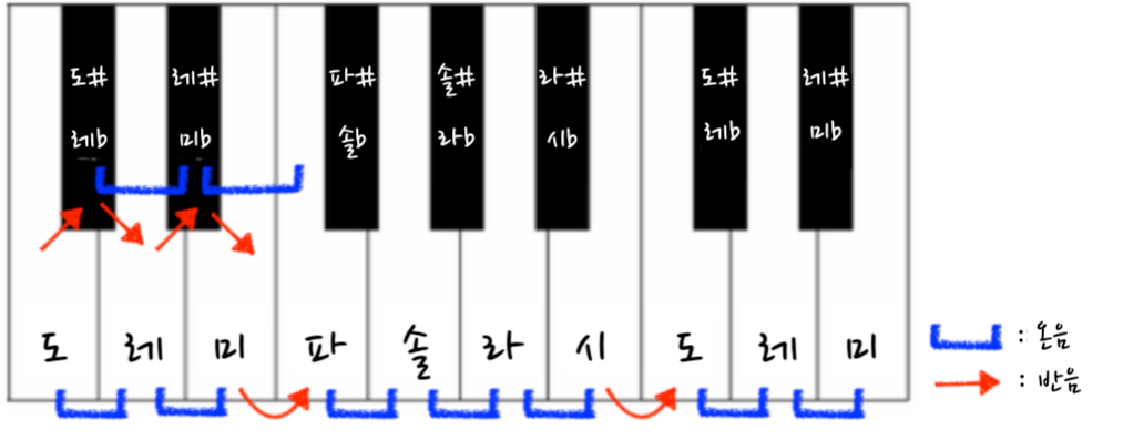 반음 온음 건반
