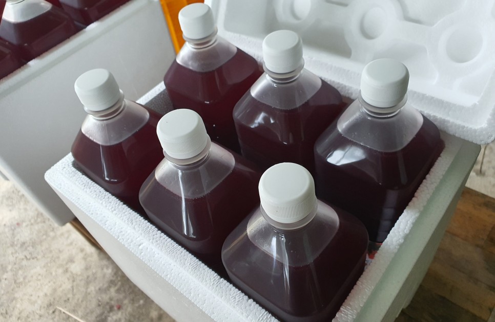 오미자의 오미자(五味子)가 남긴 2021년 10