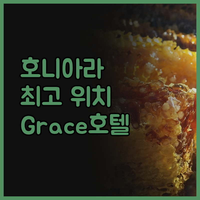 2024년 오픈한 호니아라 Grace