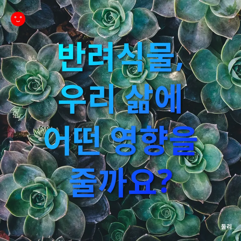 반려식물 키우기_1