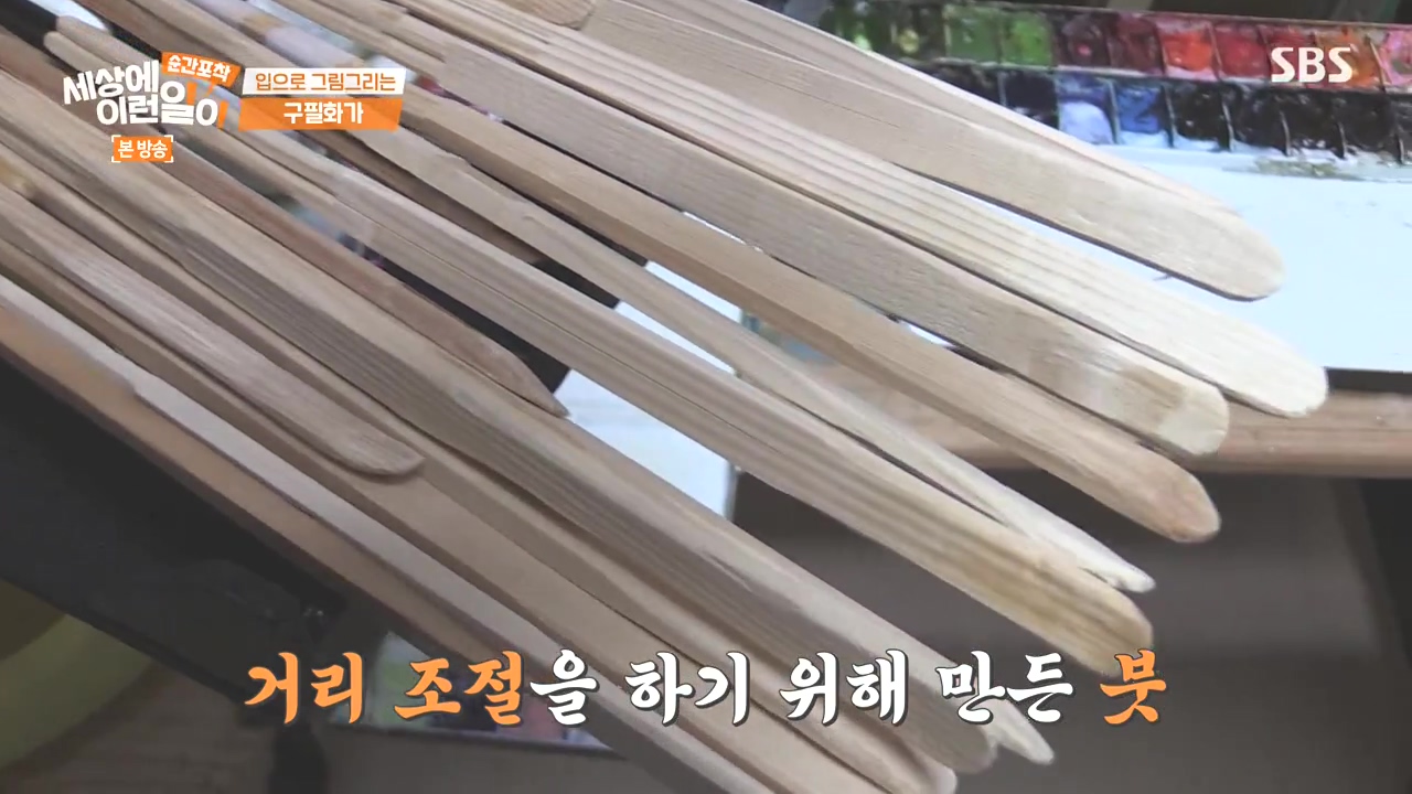 순간포착 세상에 이런일이.E1252.231112p-NEXT.mp4_20231112_165332.408.jpg