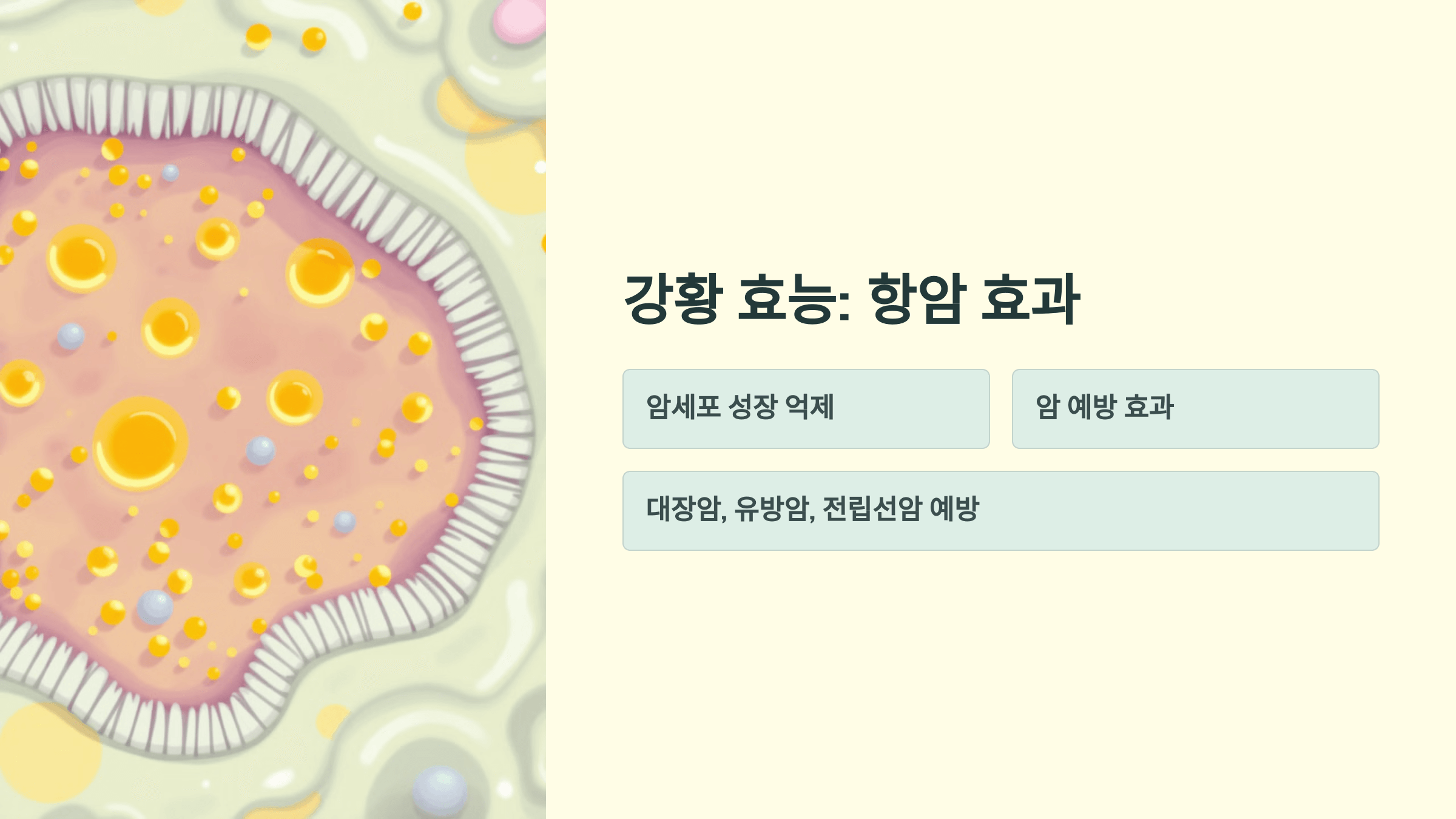 강황 사진입니다.