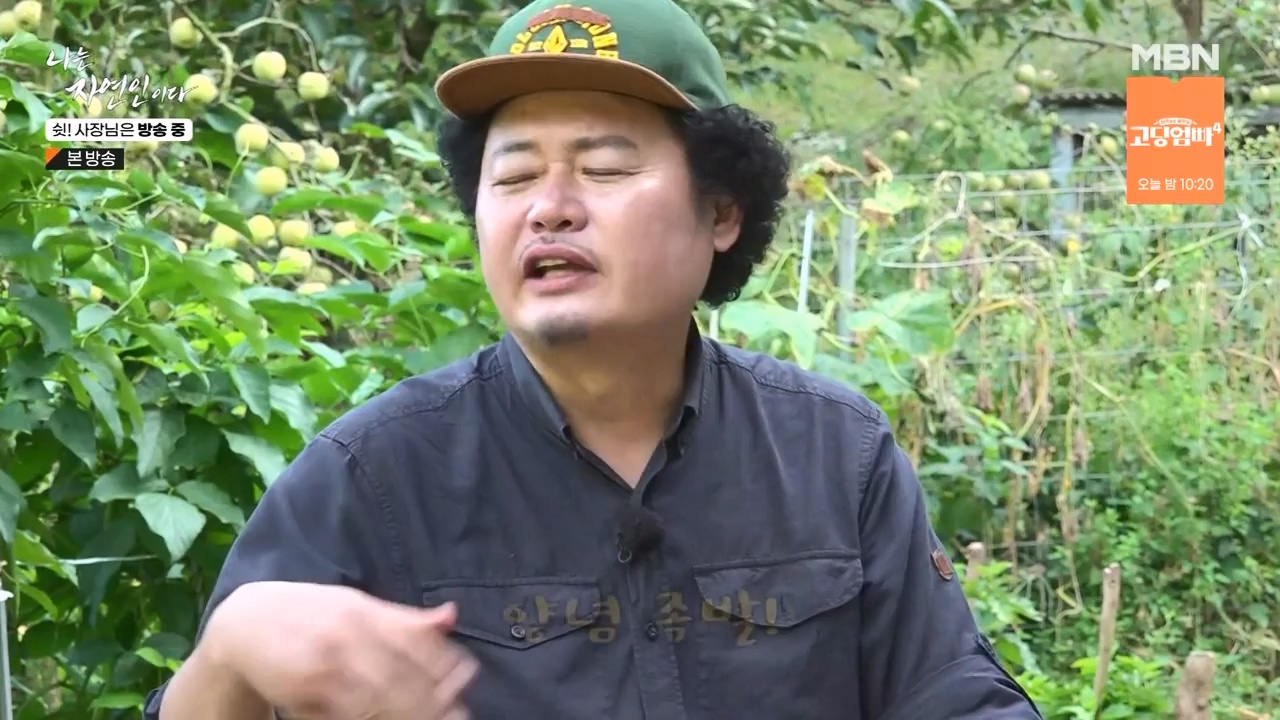 나는 자연인이다.E573.230928p-NEXT.mp4_20230929_174819.139.jpg