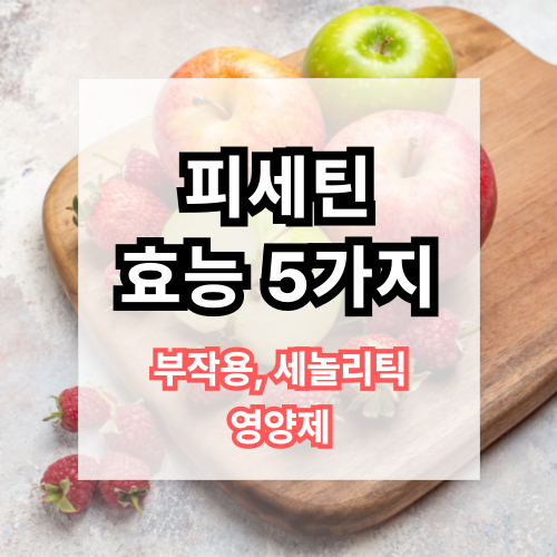 피세틴젊어지는약