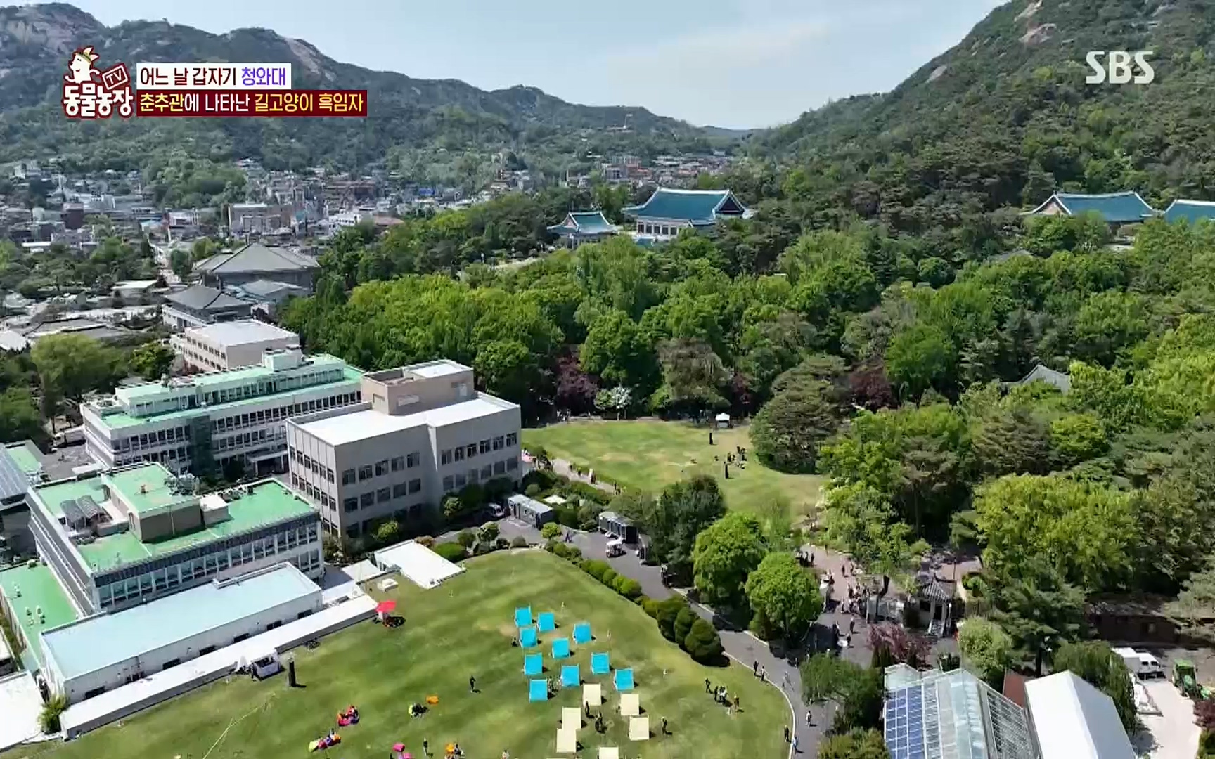 TV 동물농장.E1072.220605p.H264-F1RST.mp4_20220605_181433.228.jpg