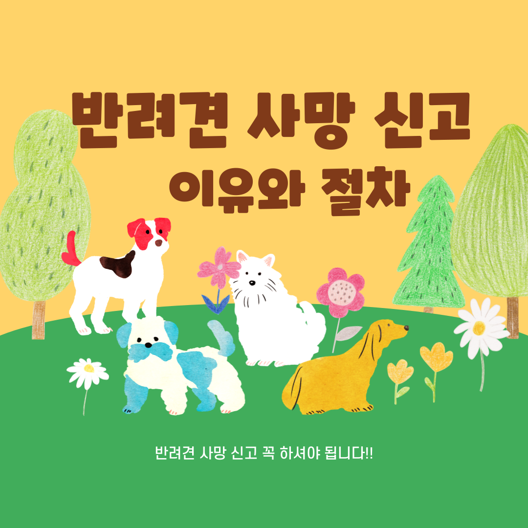 반려견 사망 신고, 꼭 해야 하는 이유와 절차 총정리