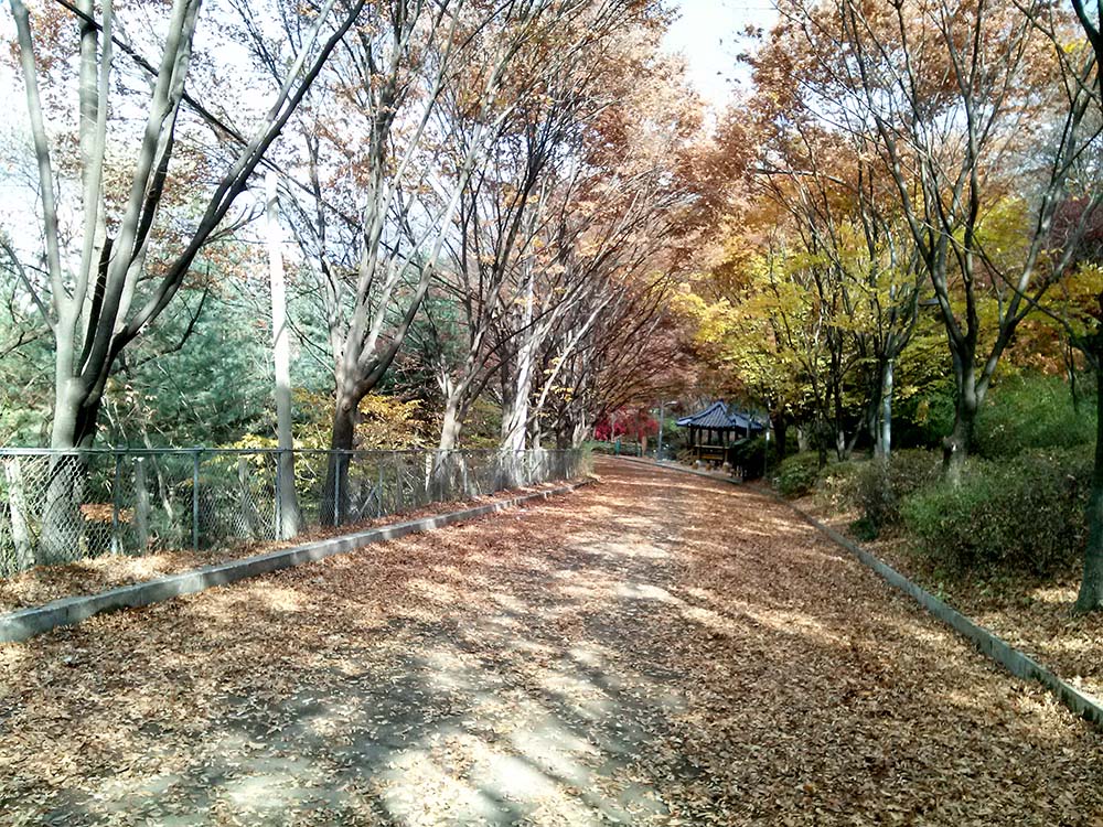 서대문구 안산 여성친화 테마길 여기로 스탬프 투어