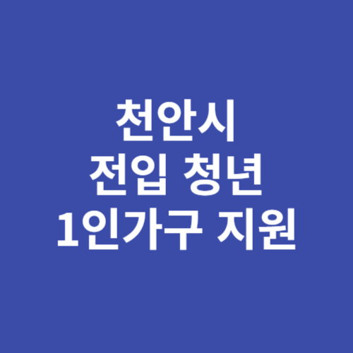 천안시 전입 청년 1인가구 행복꾸러미