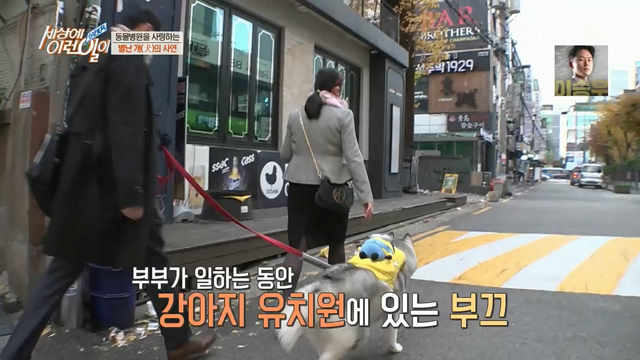 순간포착 세상에 이런일이.E1207.221130p.H264-F1RST.mp4_20221130_195702.462.jpg