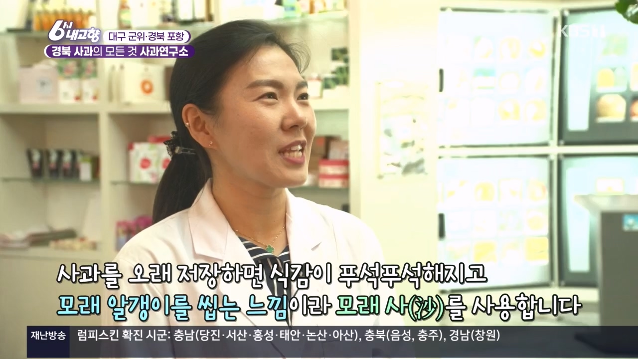 6시 내고향.E7907.231108p.H264-F1RST.mp4_20231108_204726.307.jpg