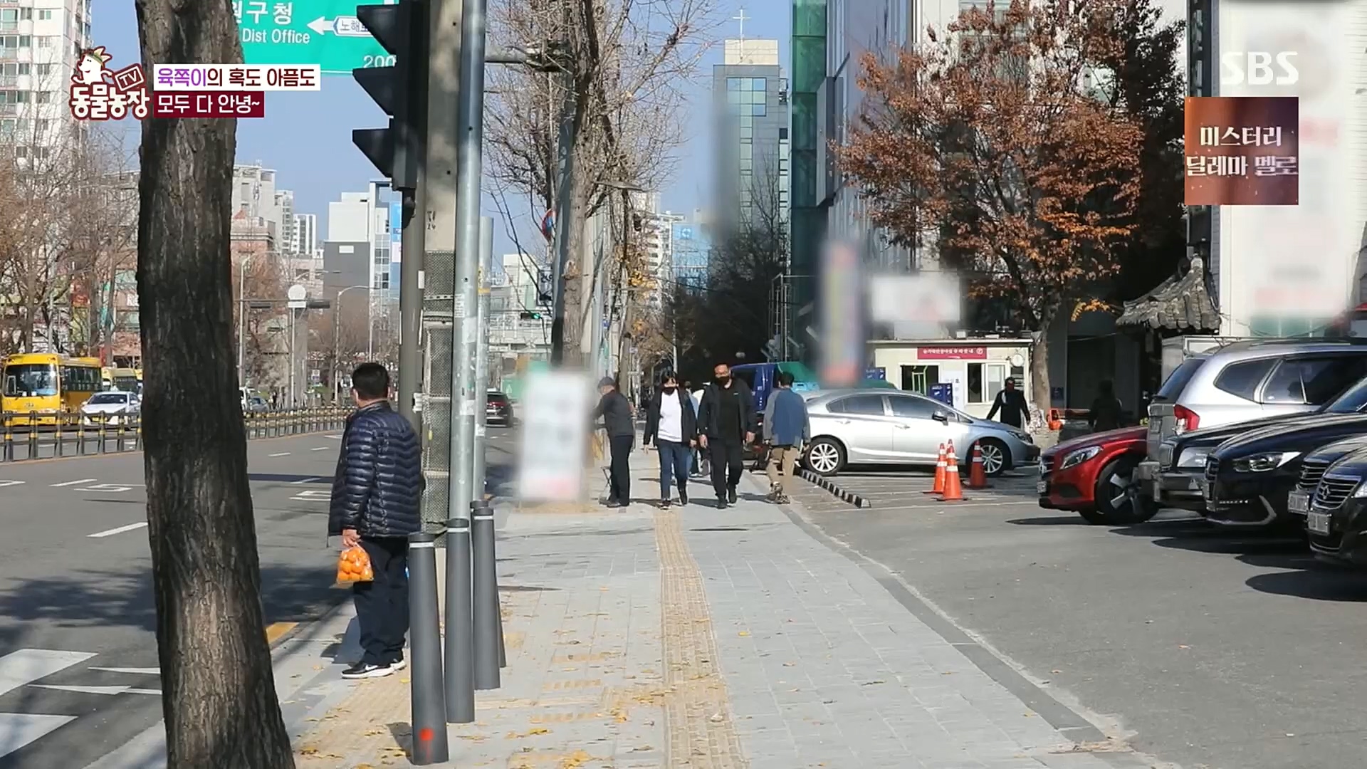 TV 동물농장.E1100.221218p.H264-F1RST.mp4_20221218_183455.909.jpg