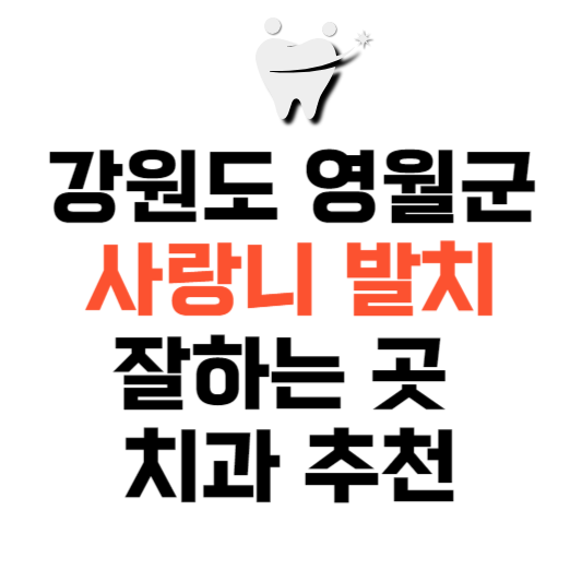 강원도 영월군 사랑니 치과 발치 잘하는 곳 추천 매복 가격 비용.png