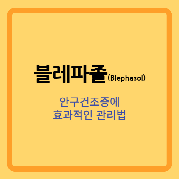  블레파졸(Blephasol) 사용법 : 손쉬운 마이봄샘 관리