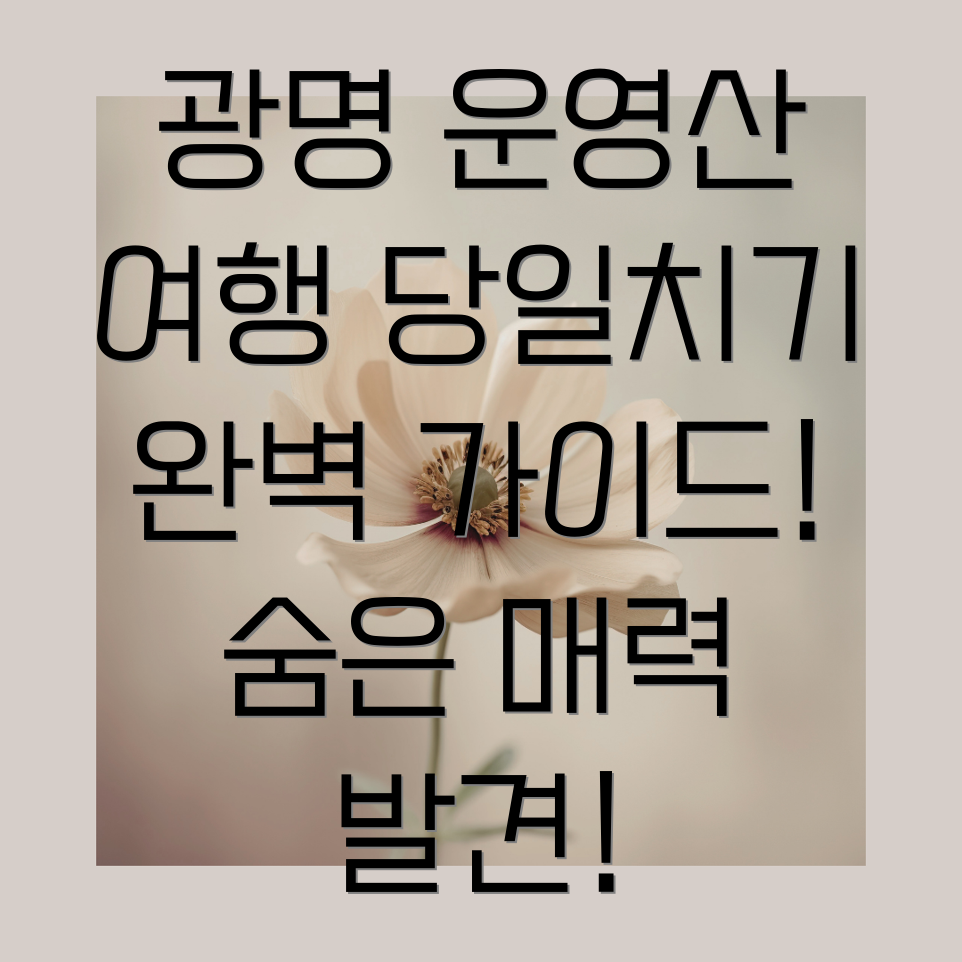 광명 운영산 당일치기 여행