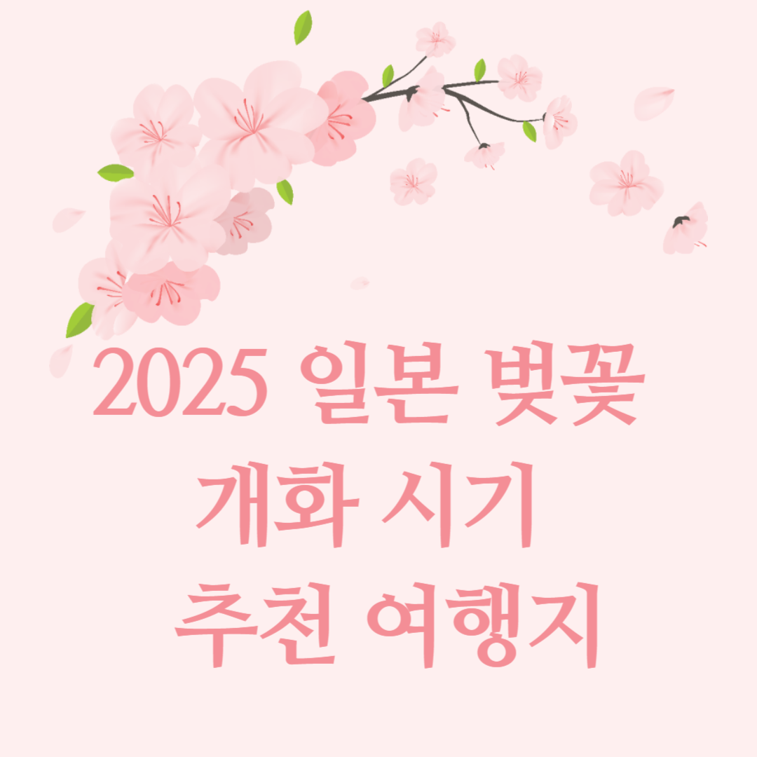 일본 벚꽃 개화시기 2