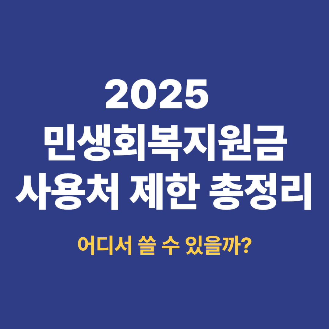 2025 민생회복지원금 사용처 제한 총정리