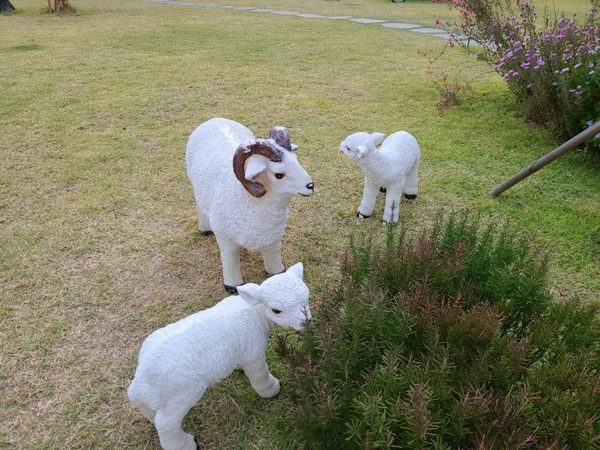 신탁업무 디벨로퍼의 필수지식입니다 부동산금융과 6