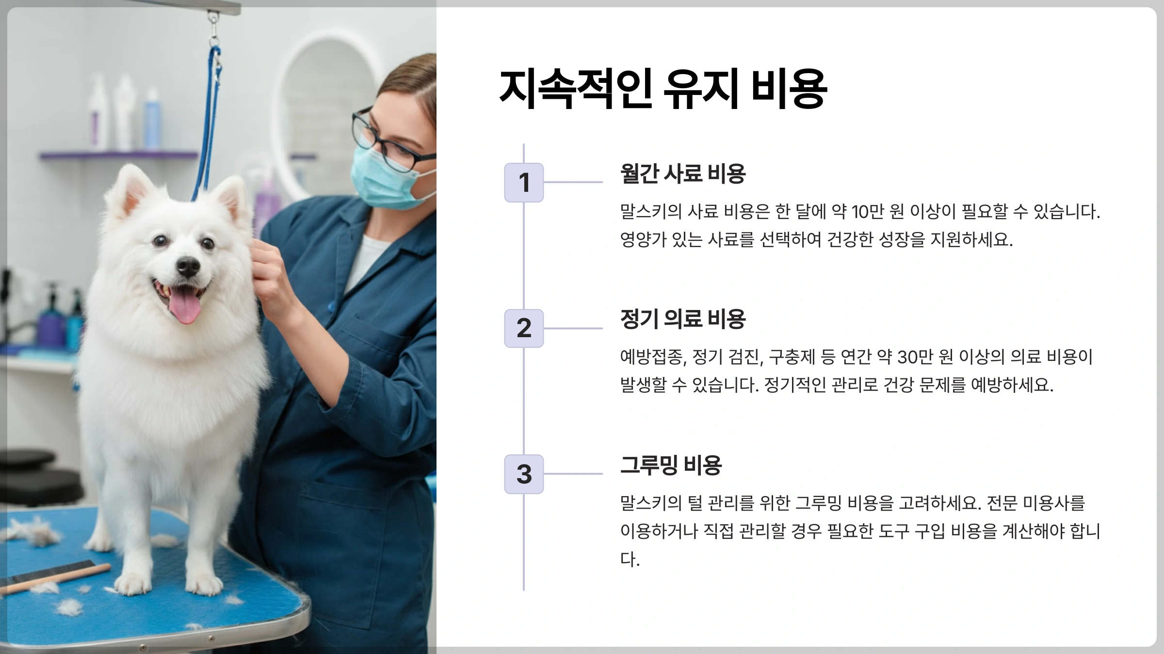 강아지 입양 비용 예산 계획