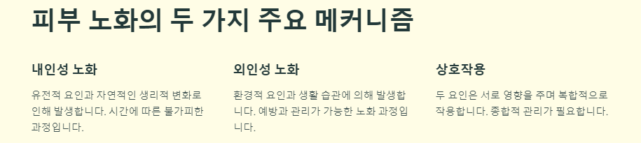 피부 노화 원인 및 예방법(방지비법)
