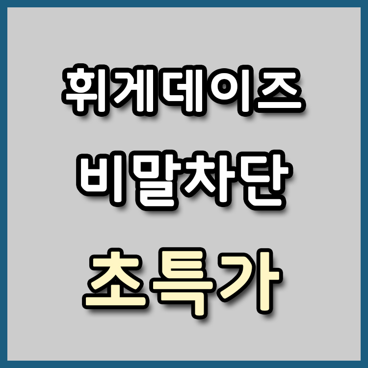  [장당 179원] 휘게데이즈 비말차단 마스크 초특가 [종료]