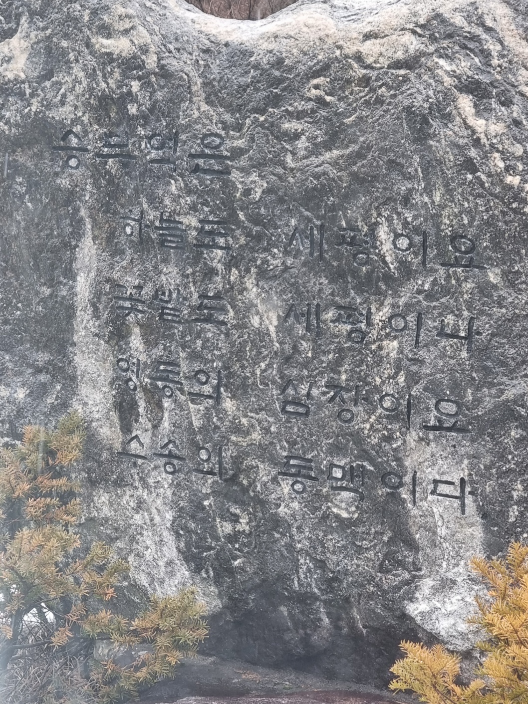 null 승부역세평시비1