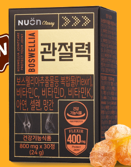 뉴온 관절력