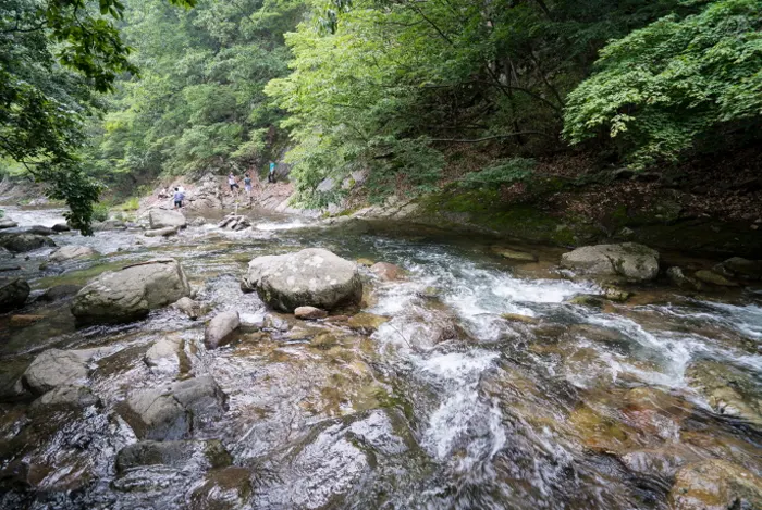 남창 계곡 전경 이미지