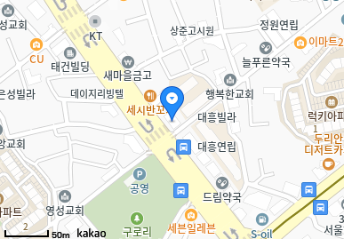 서울 구로구 구로동 일요일 진료 휴일 문 여는 병원