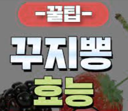 꾸찌뽕열매 효능