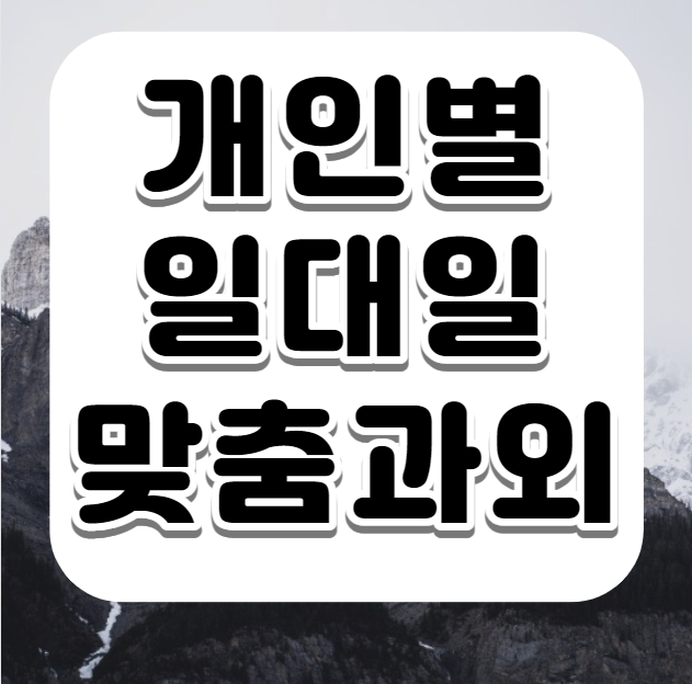  죽전 중학생 영어과외 초등부 중등생 고등학생 내대지마을 고등 수학과외 수1 수2 영문법 수능대비 모평 모의고사 내신 학교별