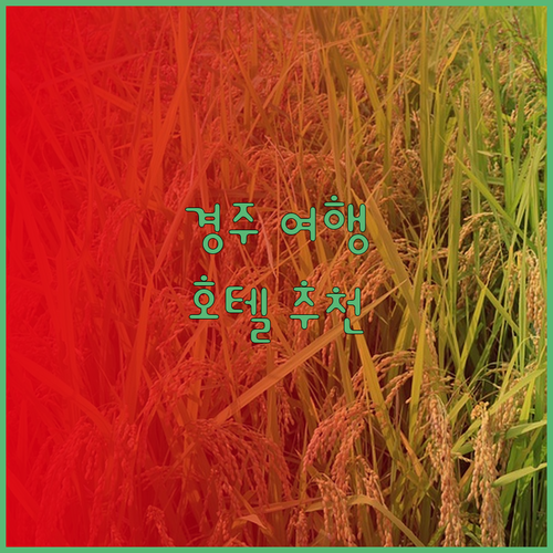 경주 여행 계획 중인가요 이 호텔들은