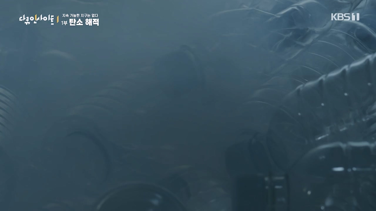 다큐 인사이트.E177.240112p-NEXT.mp4_20240113_155840.558.jpg