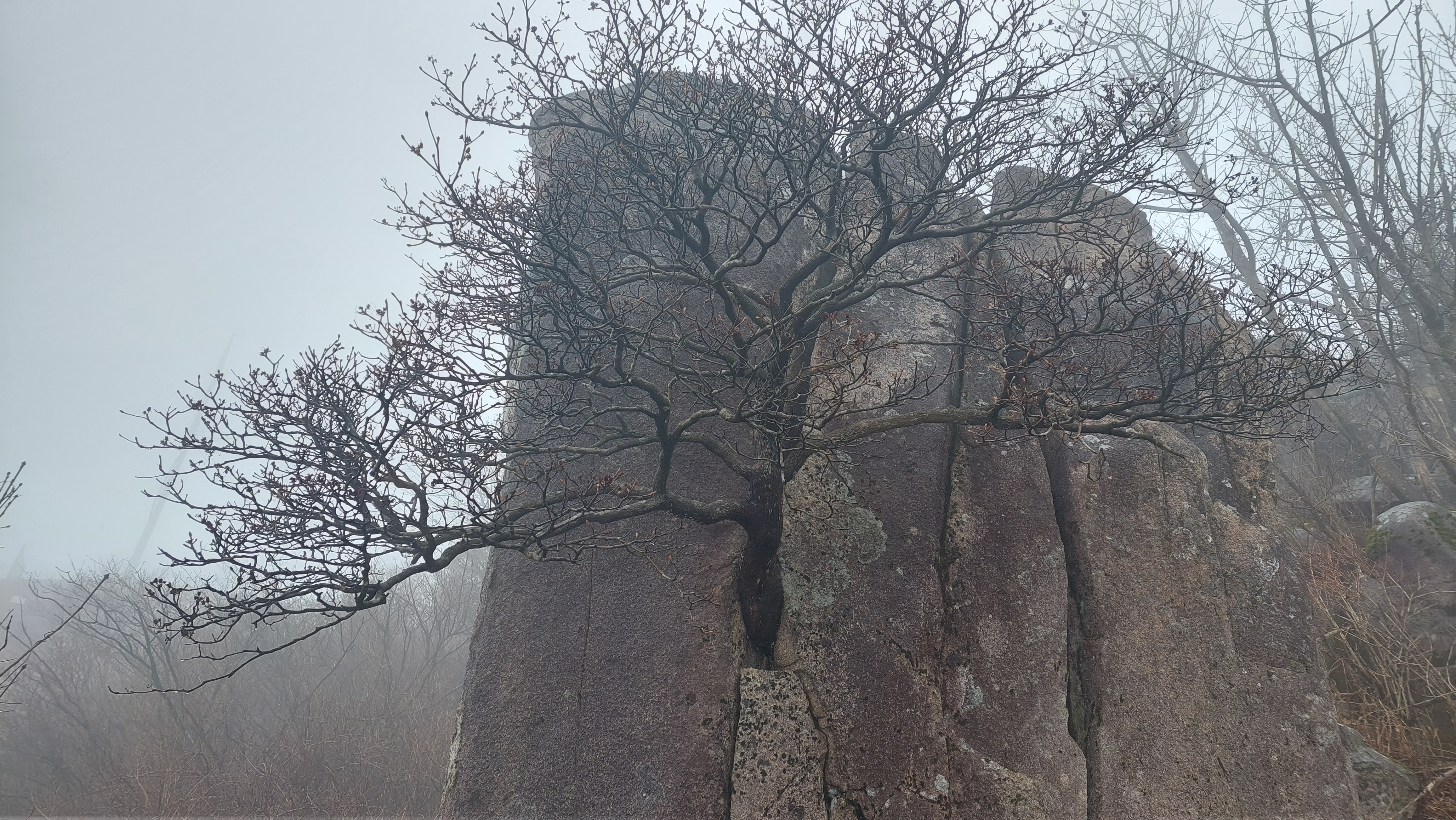 팔공산 동화사 32