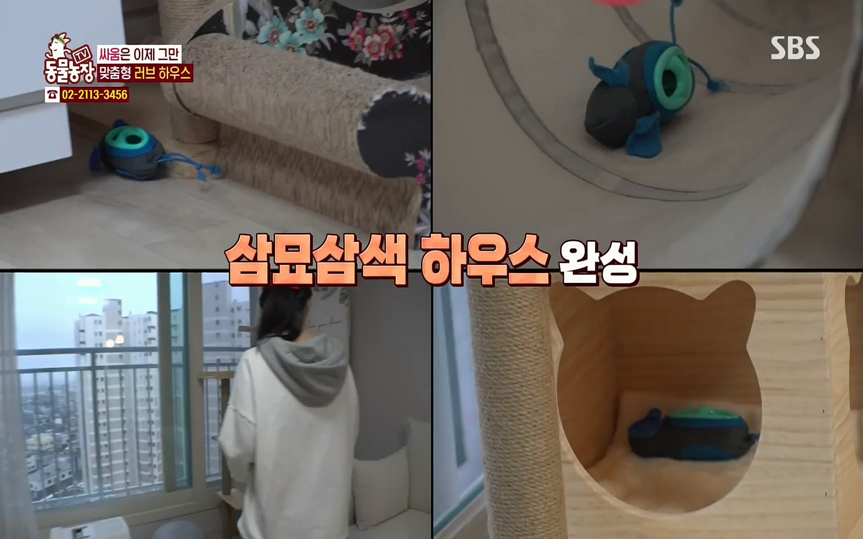 TV 동물농장.E1067.220501p.H264-F1RST.mp4_20220501_185013.071.jpg