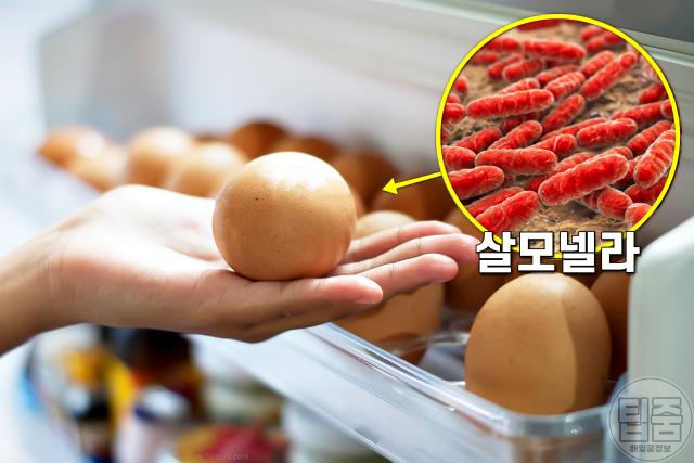달걀 보관방법 '이곳' 절대 안되요 | 냉장고 계란 보관법 달걀 보관방법 '이곳' 절대 안되요 | 냉장고 계란 보관법