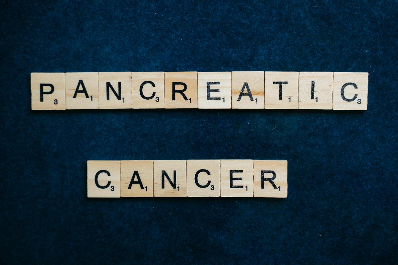 pancreatic cancer의 알파벳 철자 모습