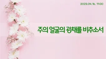 봄 주일예배 ppt 배경화면 꽃 이미지_12