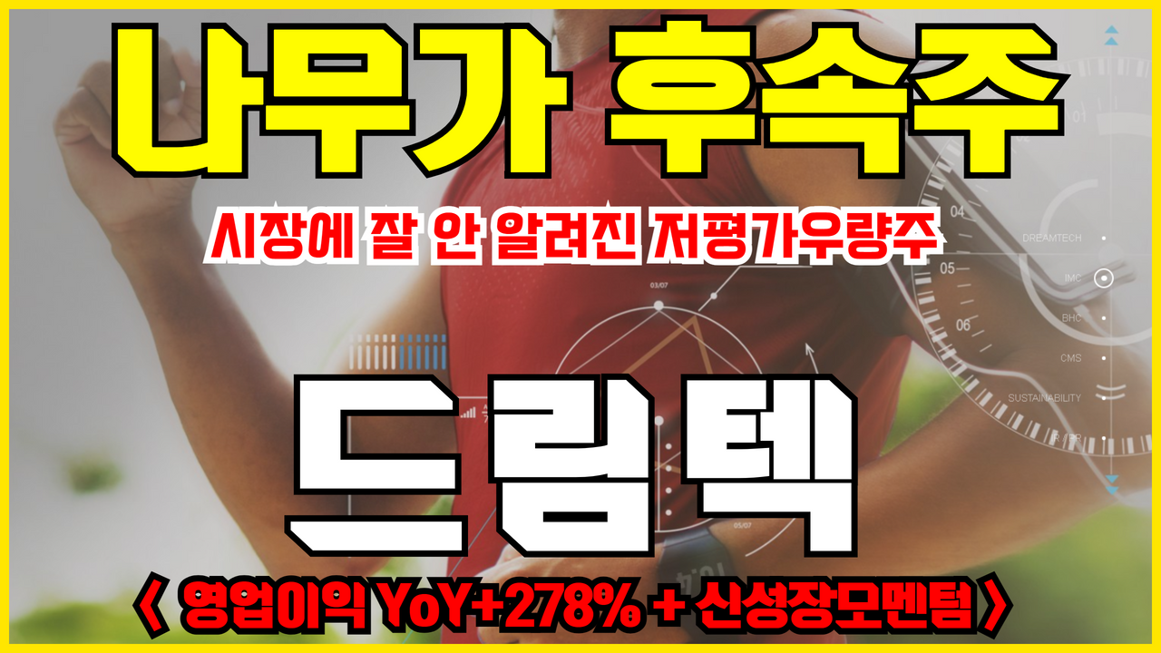  드림텍 주가 전망 ( 나무가 후속주 : 시장에 잘 안 알려진 저평가우량주 )