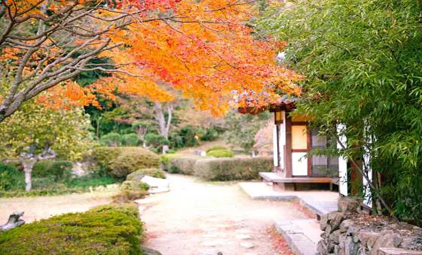 운림삼별초공원