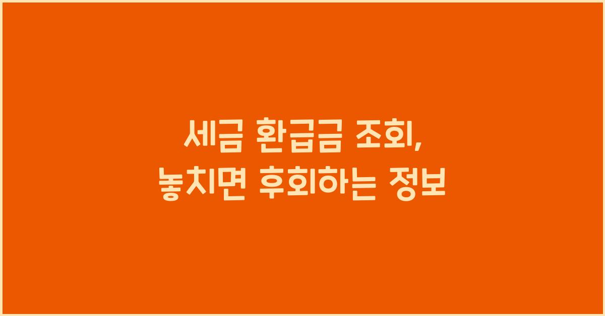 세금 환급금 조회