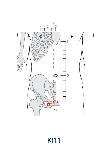 족소음신경(KI) > KI11 횡골 (橫骨) 1