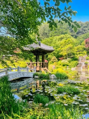 2025 봄꽃페스타 아침고요수목원에서 만나는 봄의 향연 완벽 체험기_20