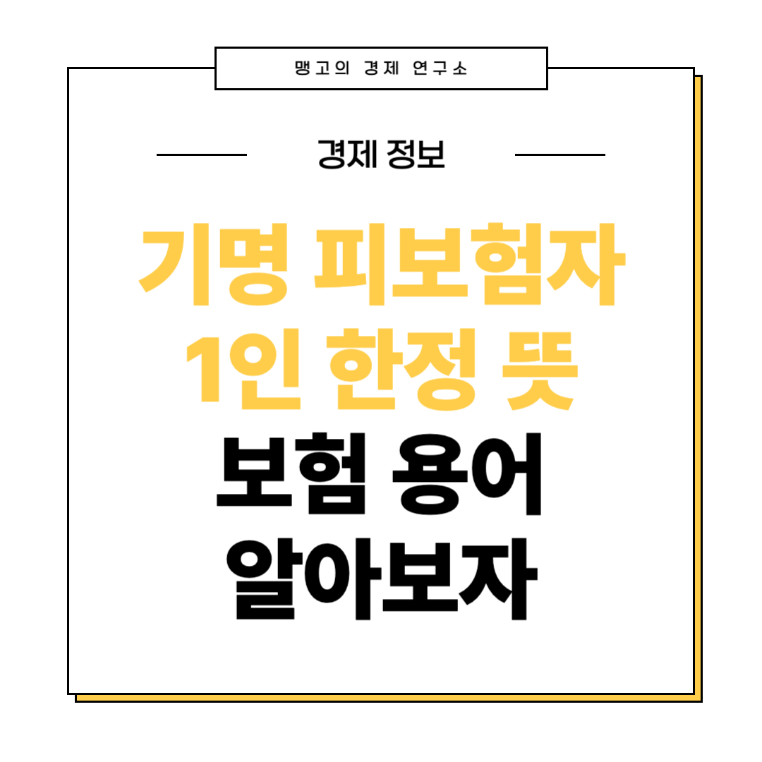 기명 피보험자 1인 한정 뜻에 대한 설명